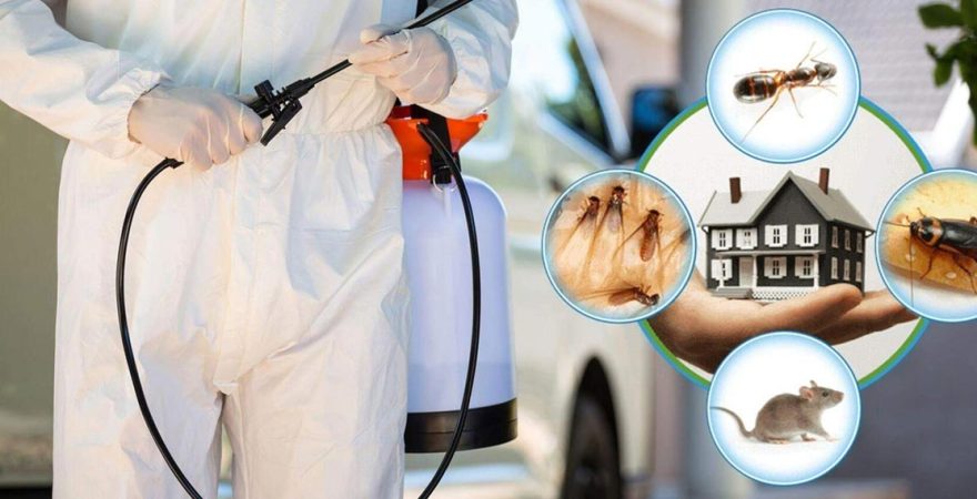 Çekmeköy Böcek İlaçlama
