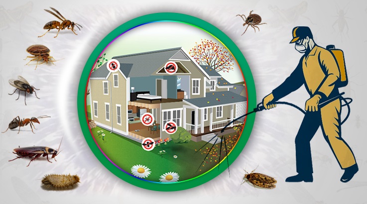 Çekmeköy Böcek İlaçlama